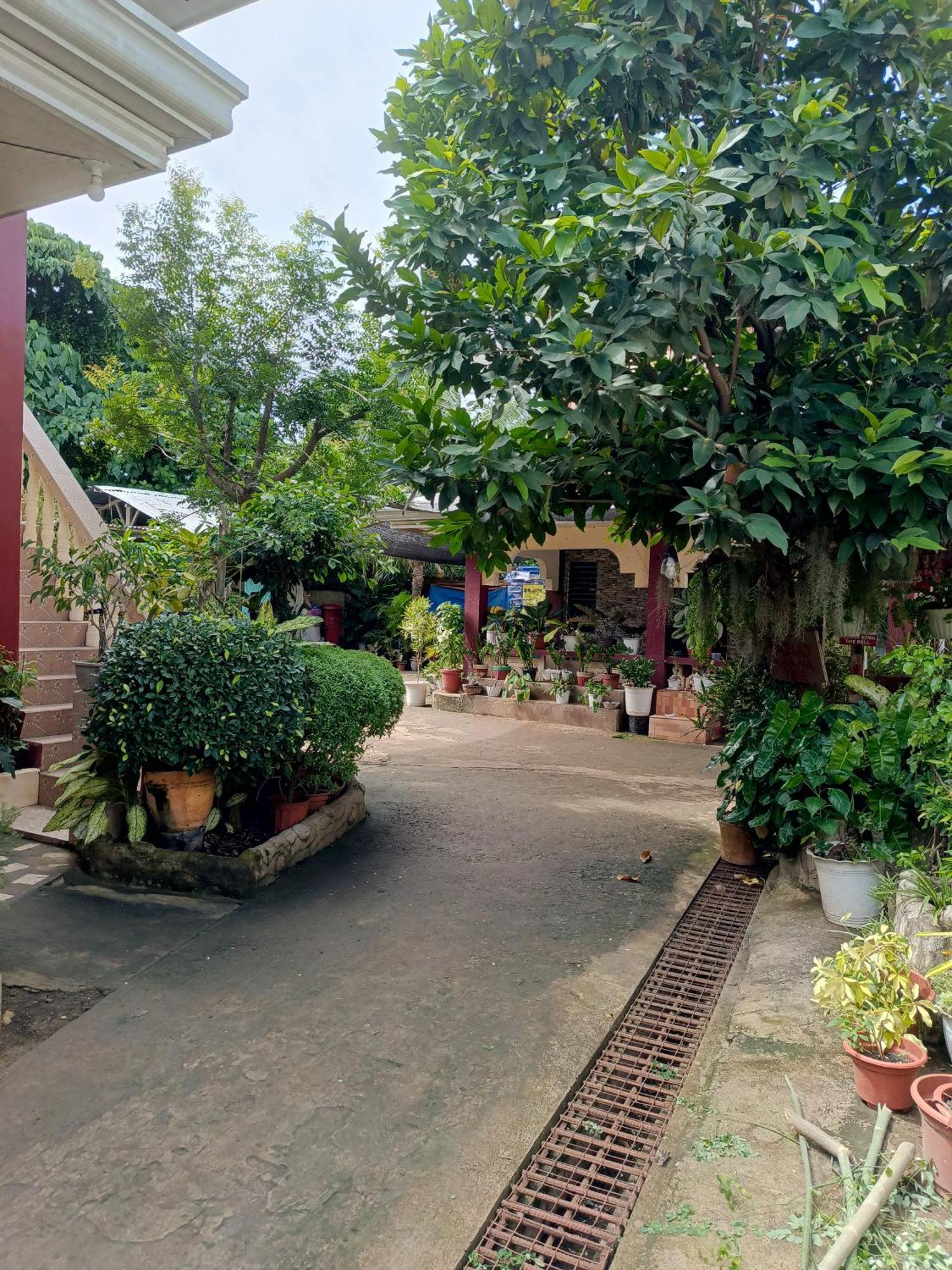 Peace Lily Studio Apartments Панглао Экстерьер фото